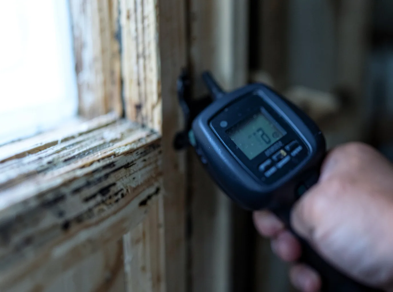 Moisture Inspection And Documentation in Saint Donatus, IA
